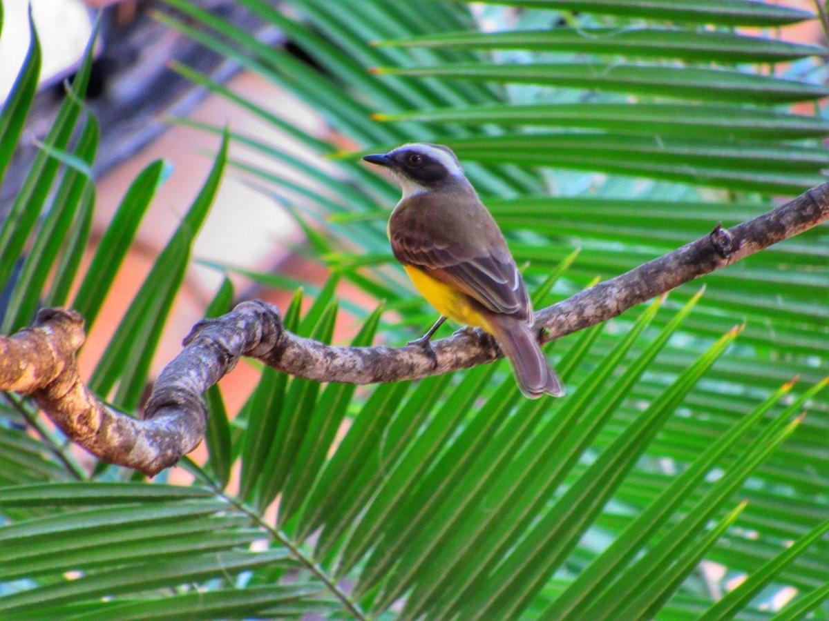 Pousada Anaue Cipo Serra do Cipo National Park Exteriér fotografie